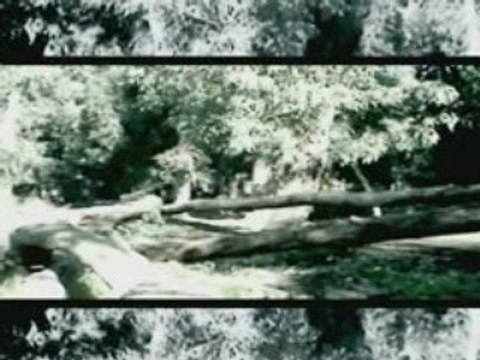 Parkour-Maroc-Berkane-Reggada-Puma-Hicham-Morocco-2008