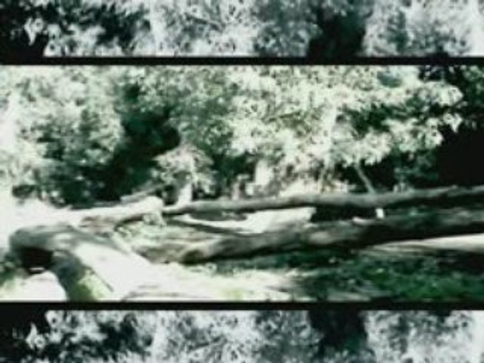 Parkour-Maroc-Berkane-Reggada-Puma-Hicham-Morocco-2008