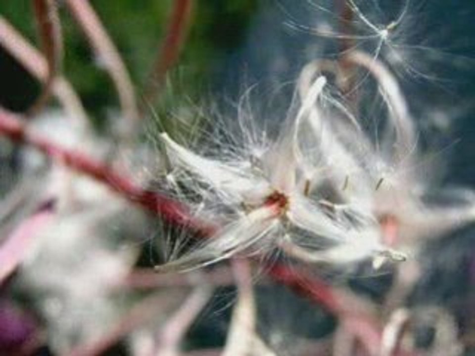 5 petites minutes d'évasion