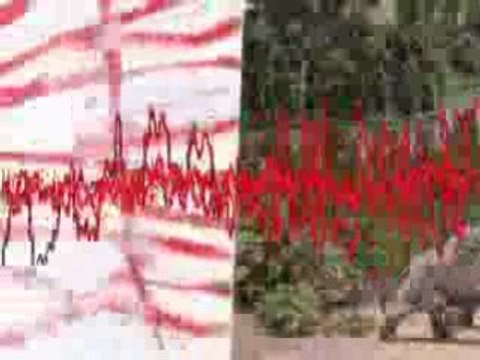 Venetian Snares - Vidaa