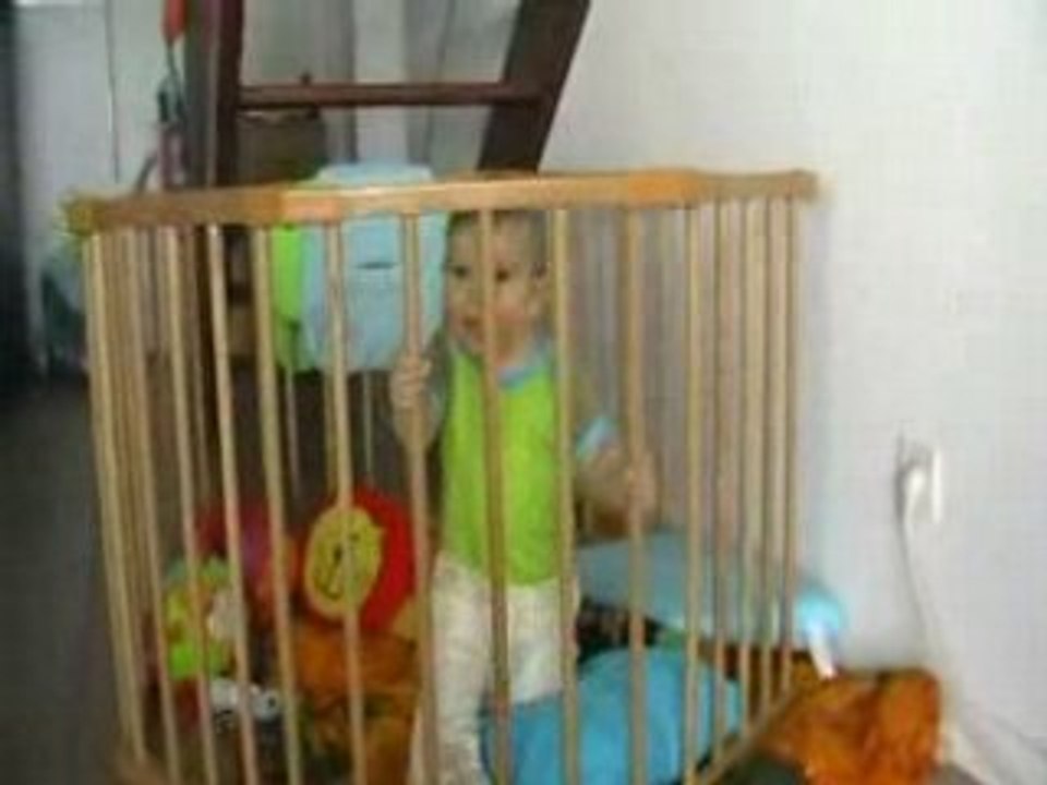 Everybody's talking about the bird