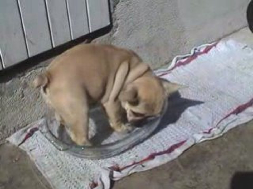 Le 1er bain de Miss