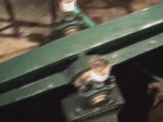 Pavillon de Manse - Moulin des Princes - Chantilly