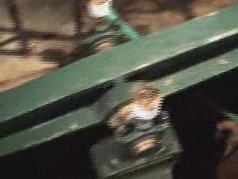 Pavillon de Manse - Moulin des Princes - Chantilly