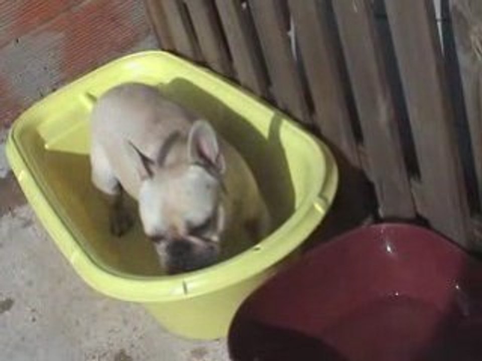 Nono prend son bain