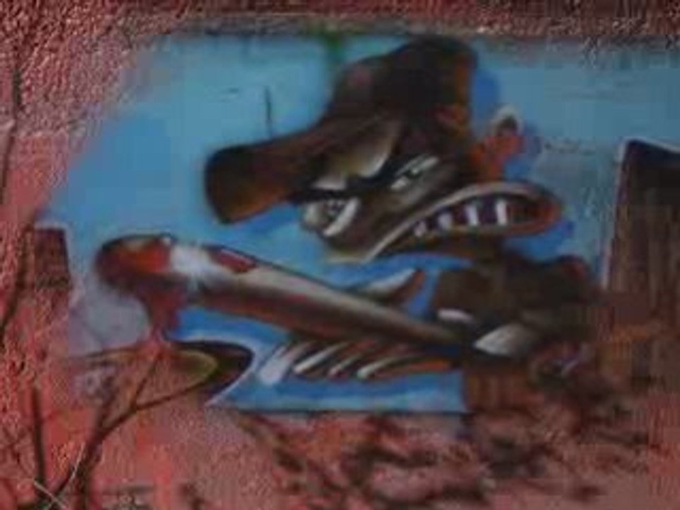 Ruelibreflash320x240-show0