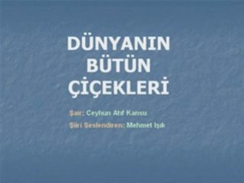 Dunyanin Butun cicekleri