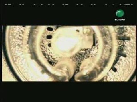 Cryine Abdelnour BY TANER TEKİN