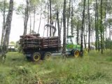 Chargement de bois dans la forêt landaise