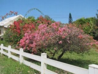 Vacances de Nade et Sandrine