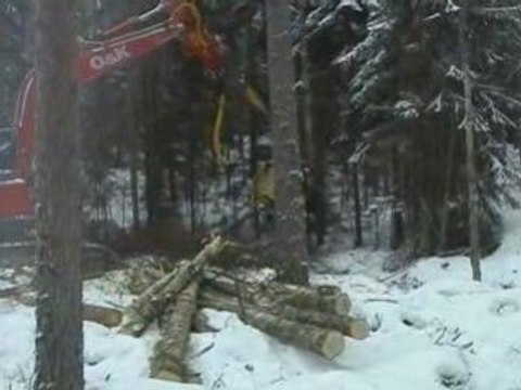 AFM Hardwoods harvesting with AFM