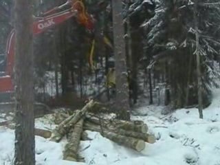 AFM Hardwoods harvesting with AFM