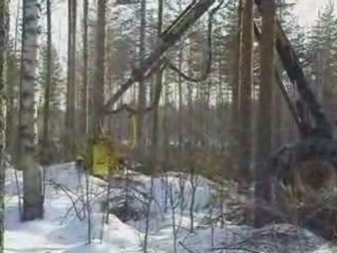AFM harvesting heads on wheeled harvesters