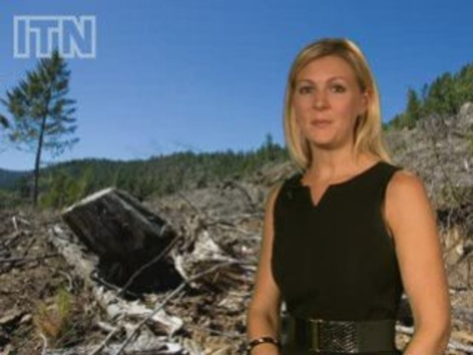 Green News