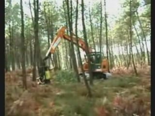 AFM on excavator harvesters in thinnings