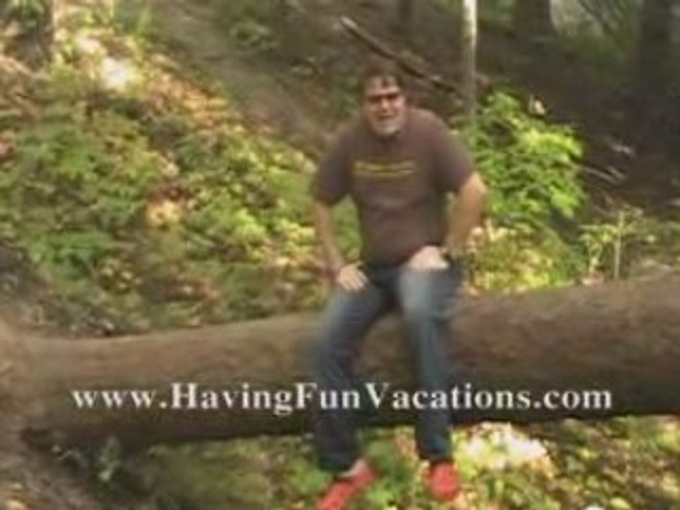 Over $73,000 Invested (MOR Vacations Mastery Team)