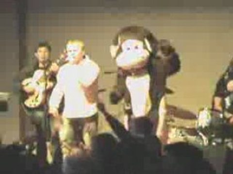 La vache ricoune st hilaire de beauvoir