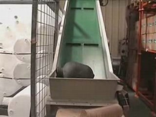 Installation déchiquetage plastique broyeur déchiqueteur