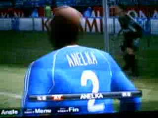 CISEAU D'ANELKA A RAS DE TERRE