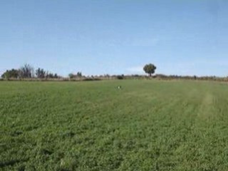 Vidéo aria désia 005