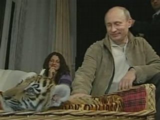 Vladimir Putin received a baby tigress for his birthday