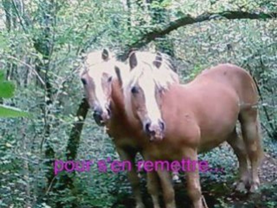 Vidéo Romy - un ange ds le ciel_0001