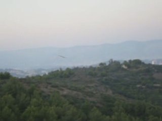 Bapteme domino au Mai