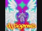 DJ Tigermis - Bang it le Hardcore Techno Hardstyle MegaMix