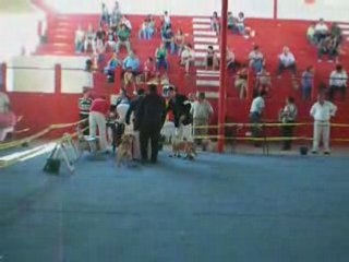 Exposición Canina en Veracrúz, México.