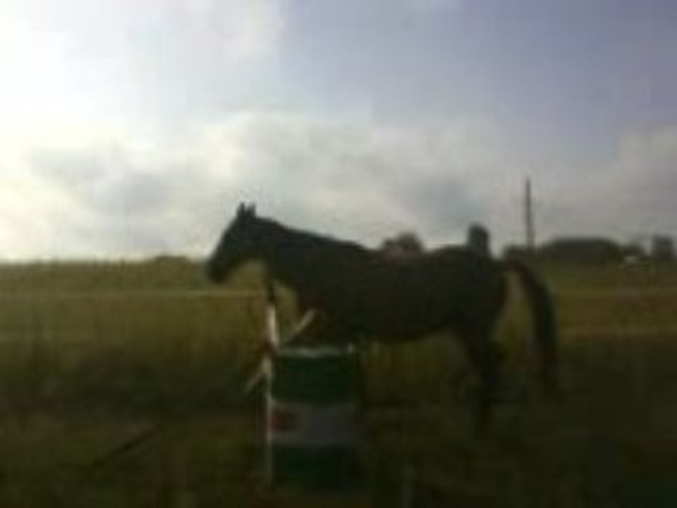 mfr mornand en forez BEPA1A