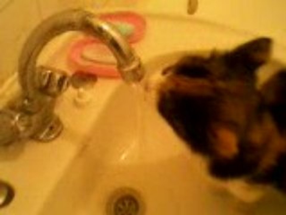 Ines boit de l'eau,