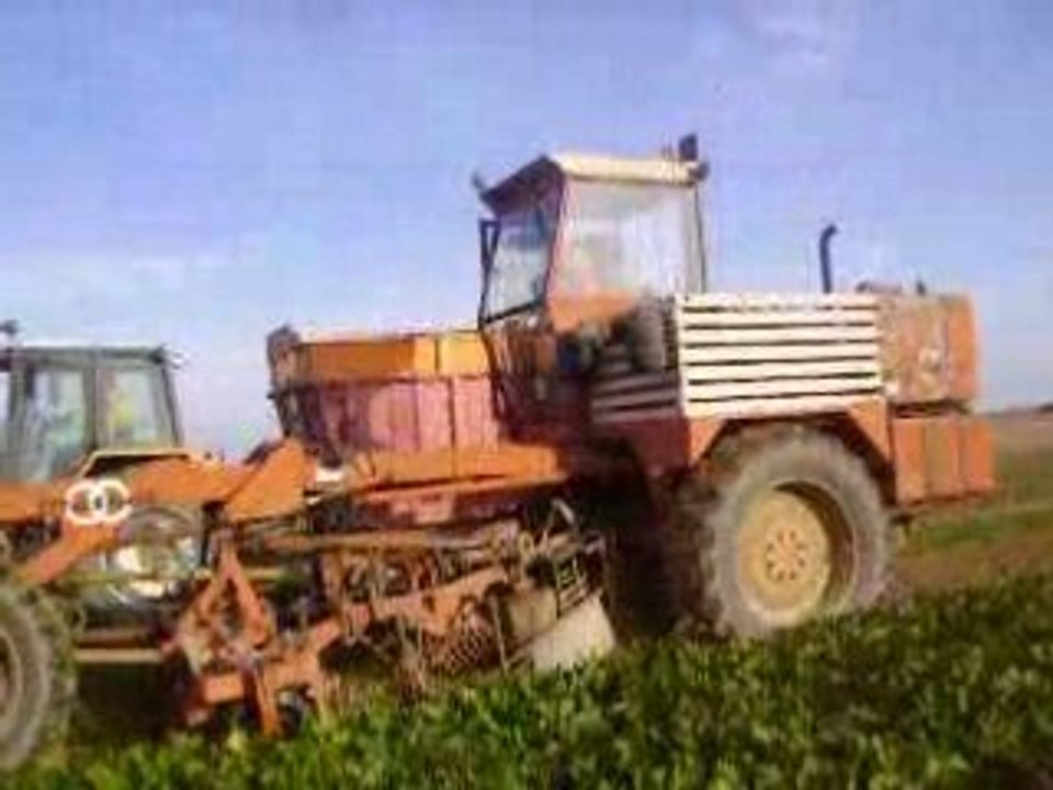 arrachage de betteraves 2008