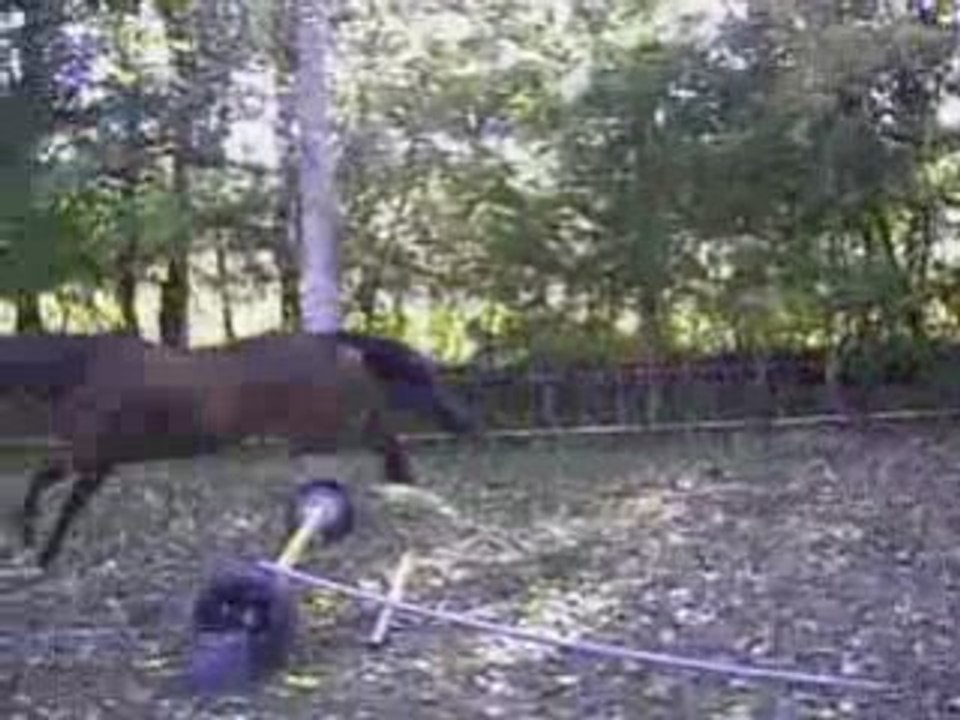Ptite séance de saut en liberté