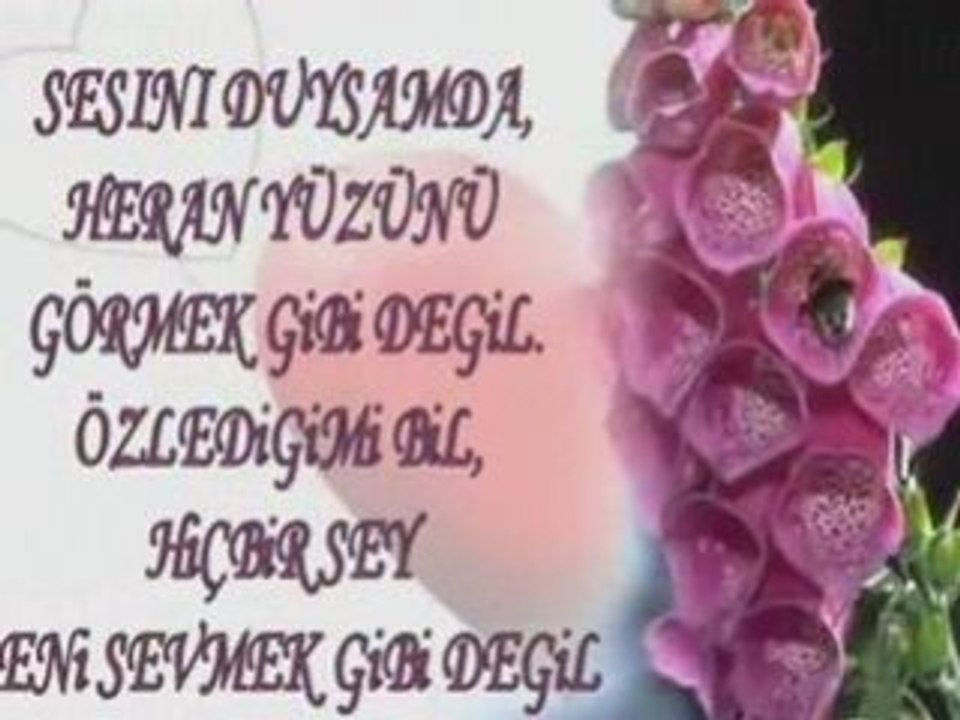 Baha  Adını yollara yazdım