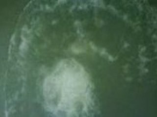 un reunionais qui saute d une péniche dans la marne