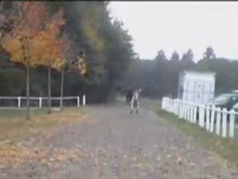 Voltige cosaque, poste hongroise