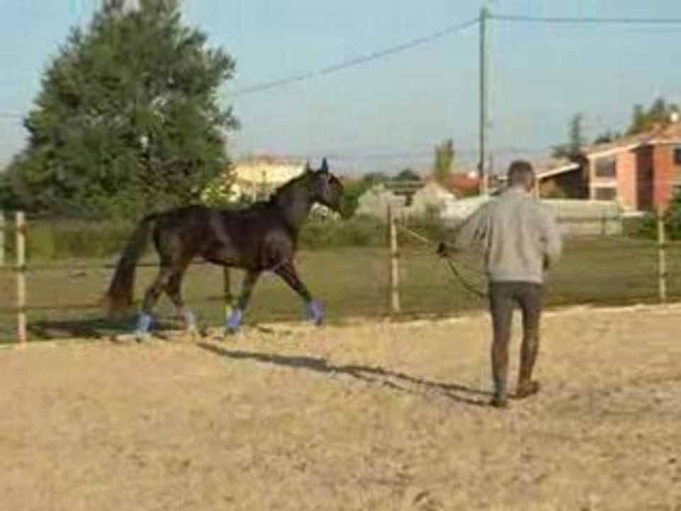 DSCN1137
