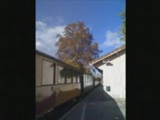 CFV Mastrou p2 07/2008 POURQUOI ?