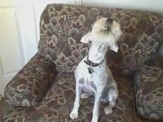 Boo Reveals SOLUTIONS To YOUR MLM Struggles [MLMgoldminePRO]