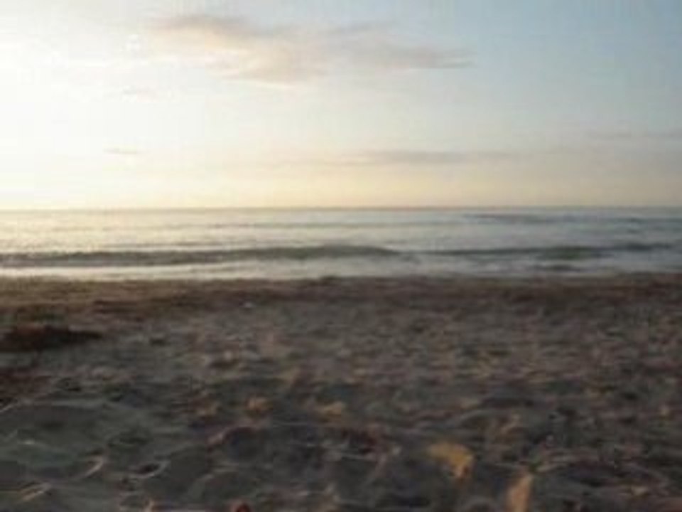 mancora