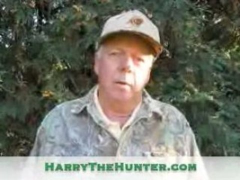 Why Do Men Hunt? Why Hunt When There Isn't a Need?