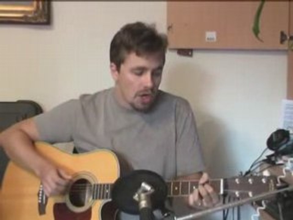 Bleeding love -  reprise guitare acoustique par Sly