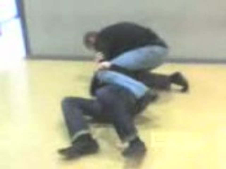 Tibo vs morel