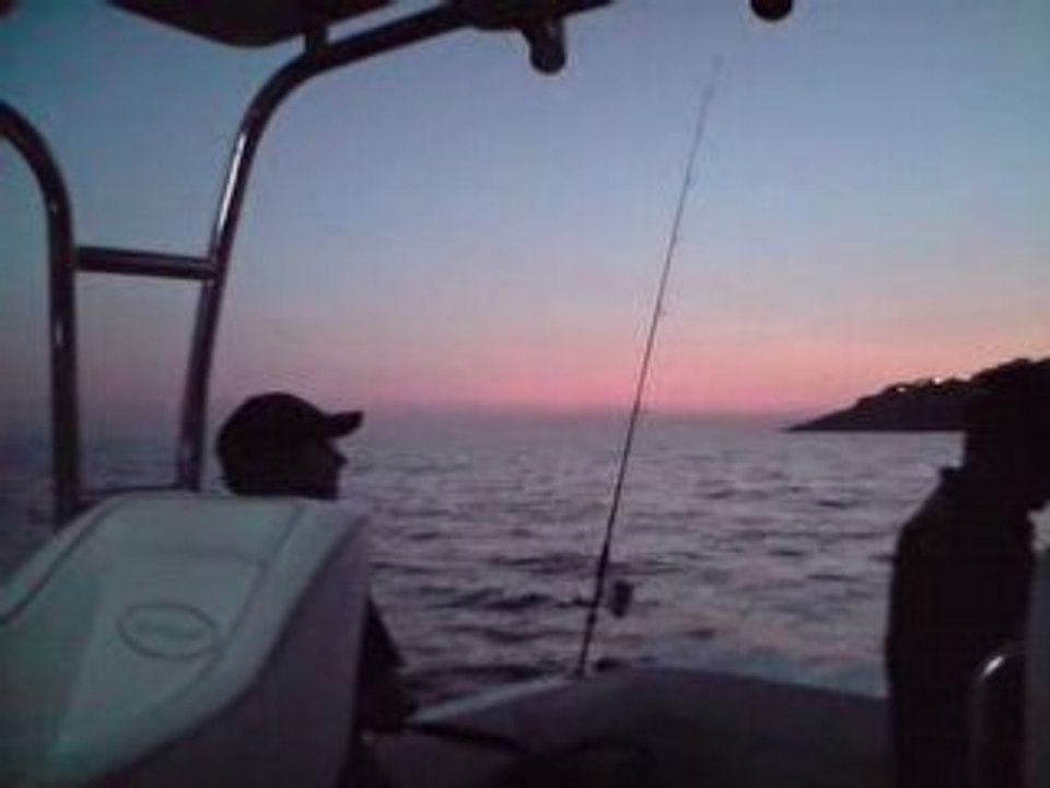 V101008_19.22