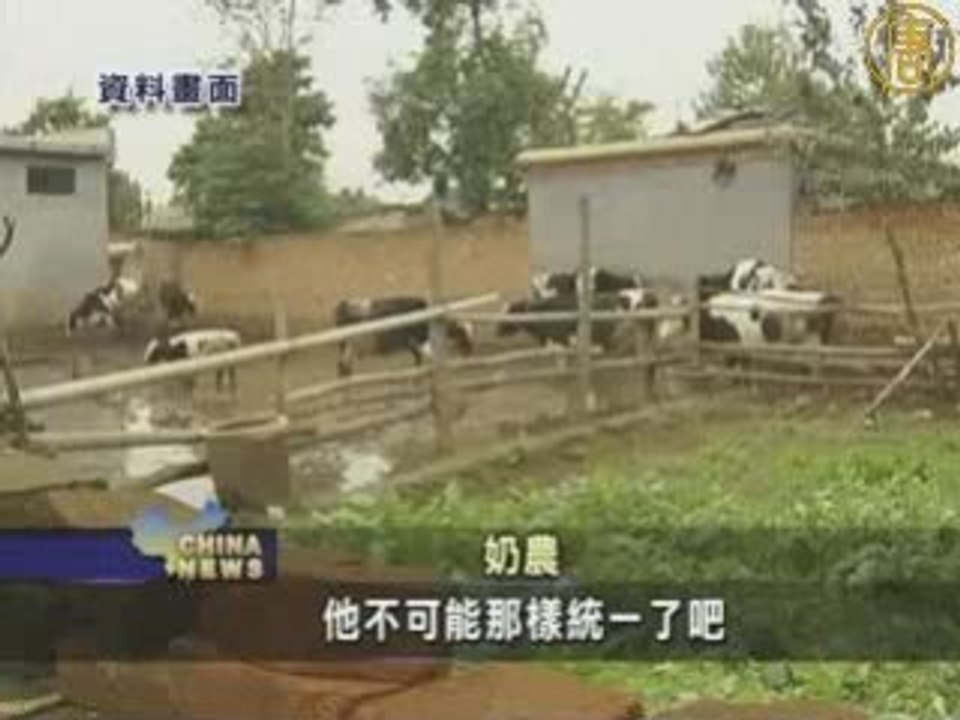 毒奶粉事件 中国奶农喊冤