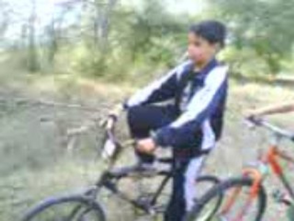 Yanis ptdr a l'arbo