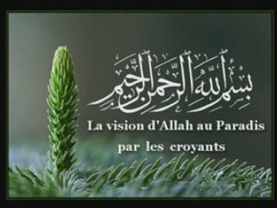 La vision d'Allah au paradis par les croyants !