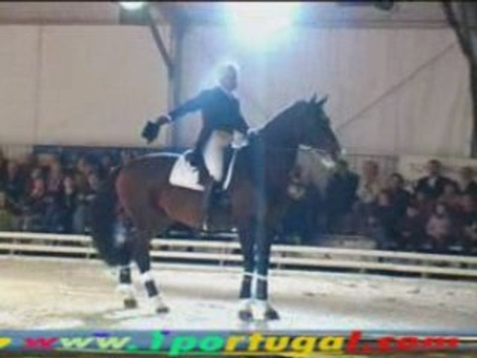 Maisons Laffitte ( 78 ) Festival Equestre 10-10-2008 - N.2