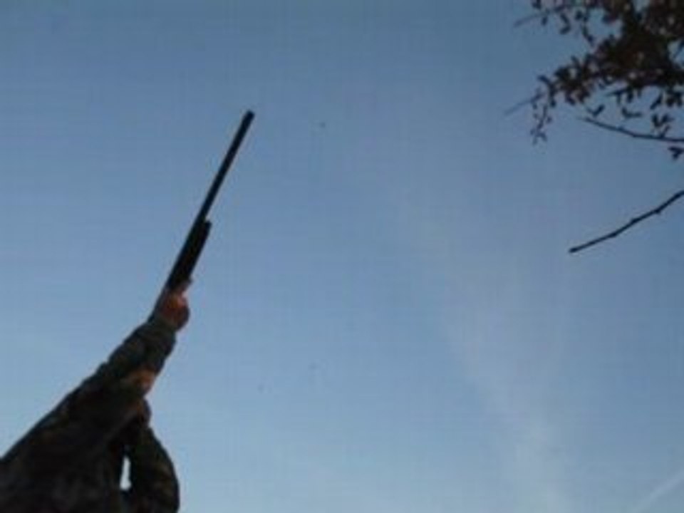 Chasse palombe 002