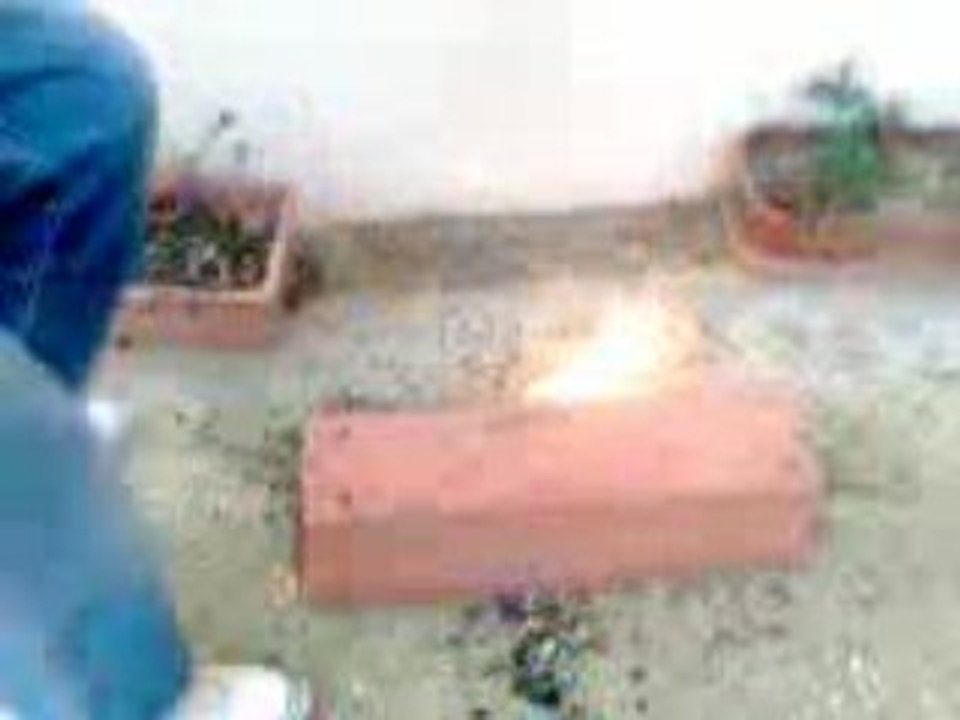 feu Géraniome